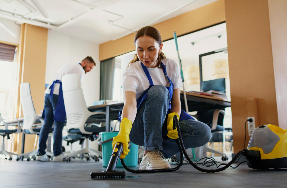 Professional Cleaning Services